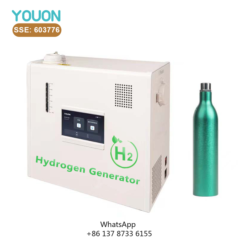 40L/h Hydrogen Generator Low-p - Renewable Energy Technology avaliação e preço