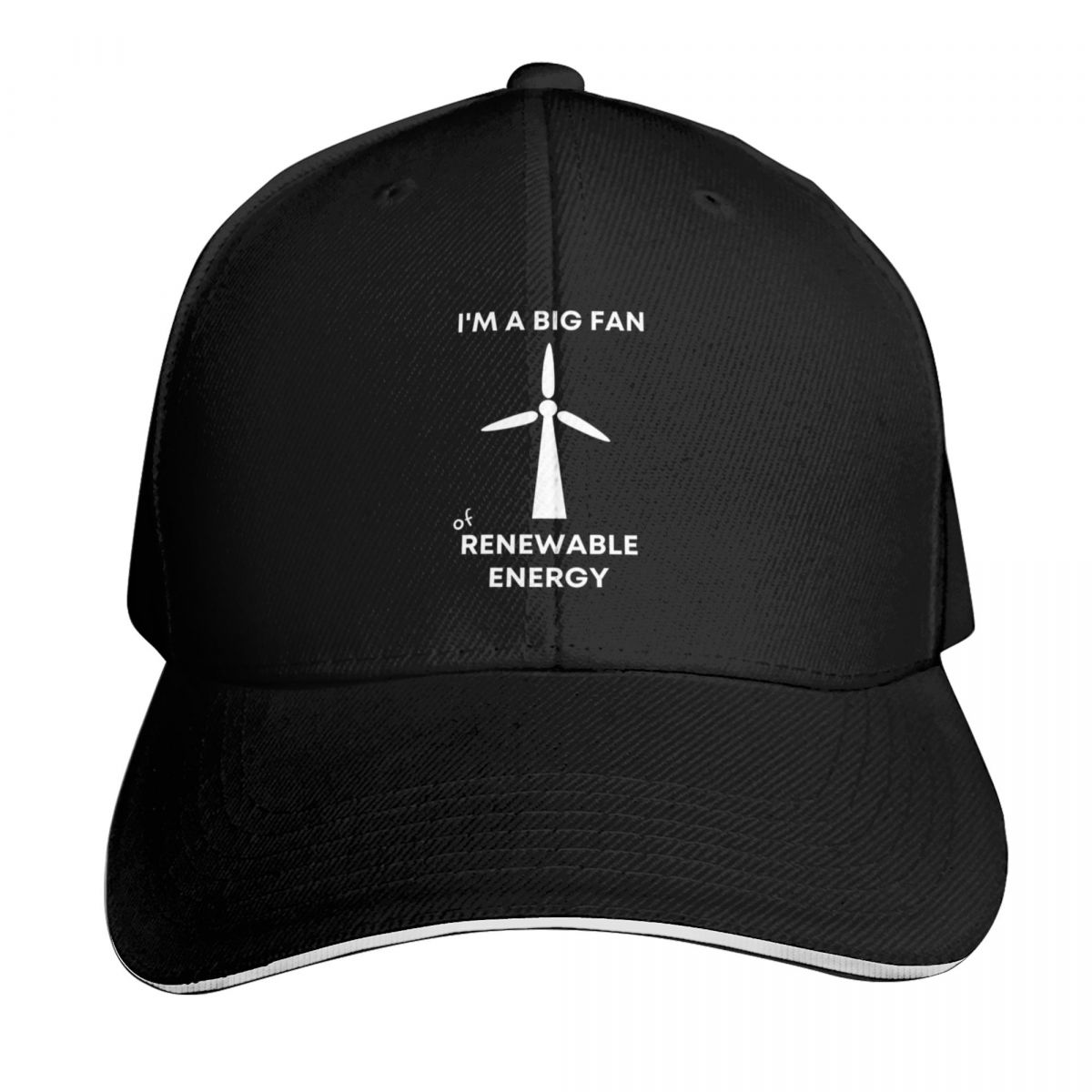I'm a Big Fan of Renewable Ene - Renewable Energy In China avaliação e preço